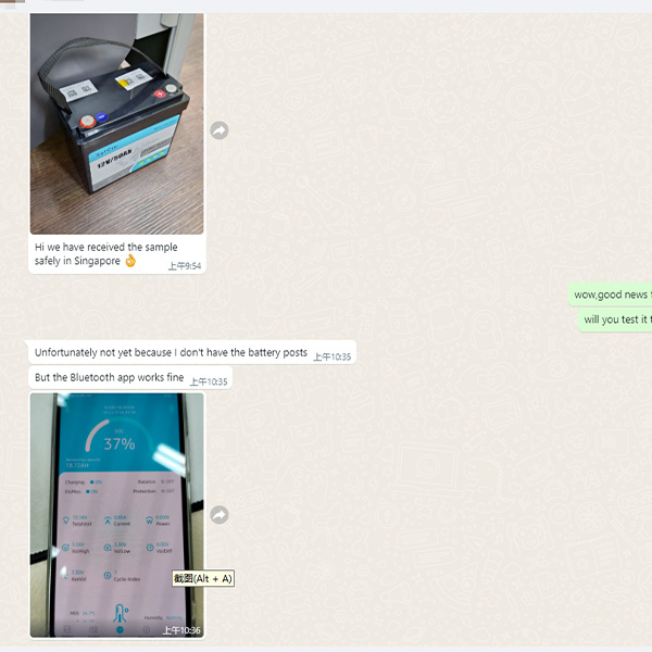 traction lithium battery Client Feedback